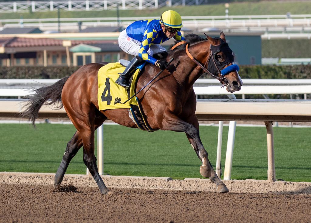 Grade 1-placed Mirahmadi (Eclipse Sportswire)