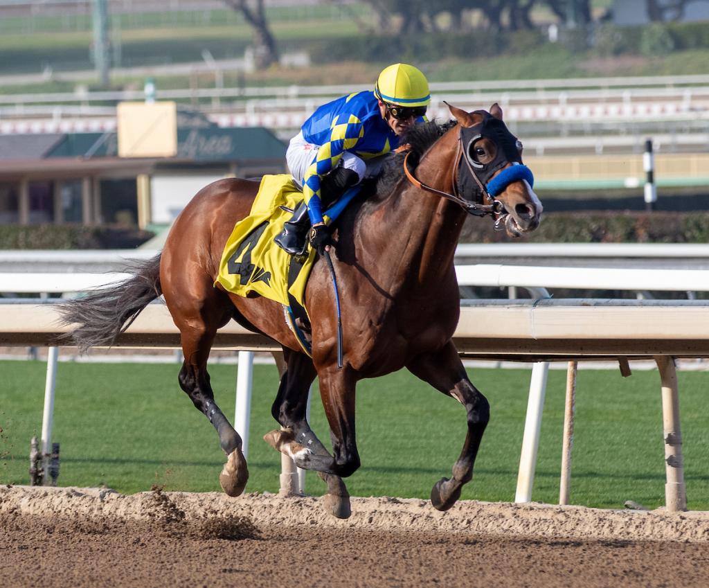 Grade 1-placed Mirahmadi (Eclipse Sportswire)