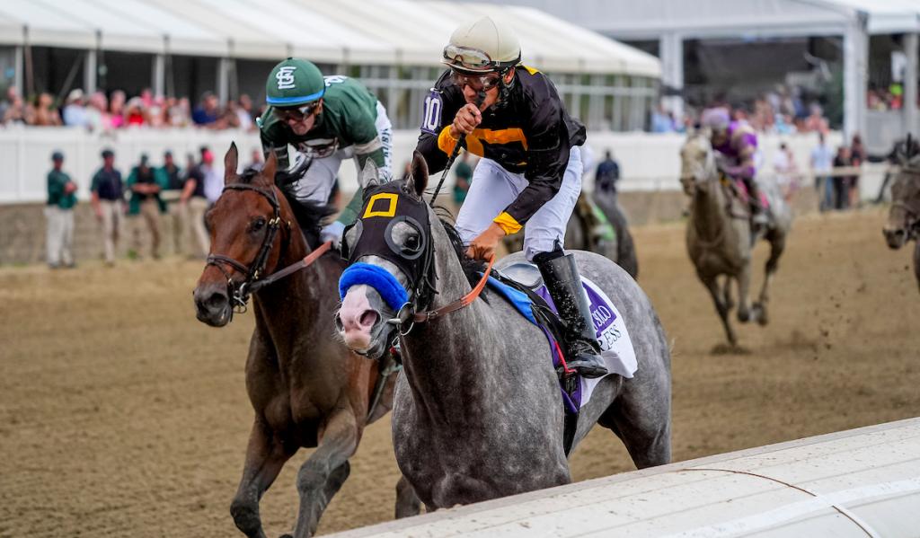 Preakness Stakes winner Napoleon Solo (Eclipse Sportswire)