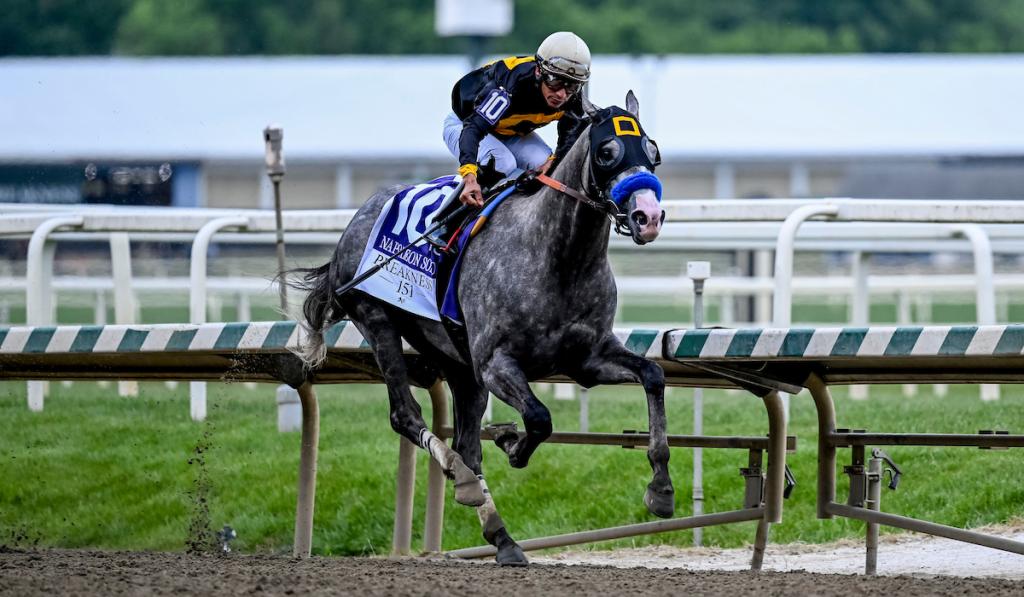 SLIDESHOW: Get to Know the 2026 Haskell Stakes Contenders | America's ...