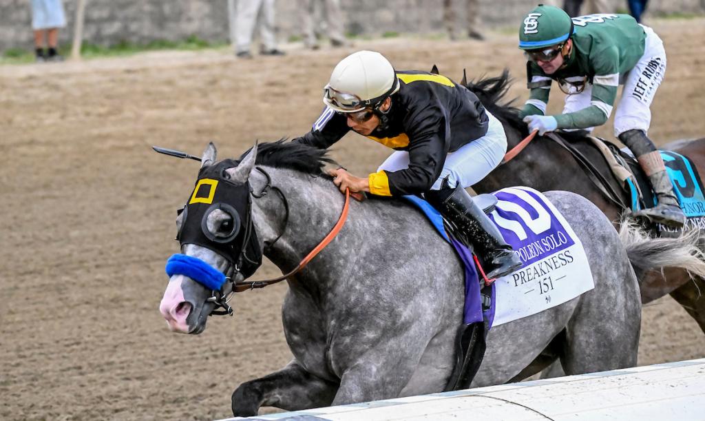 SLIDESHOW: Get to Know the 2026 Haskell Stakes Contenders | America's ...