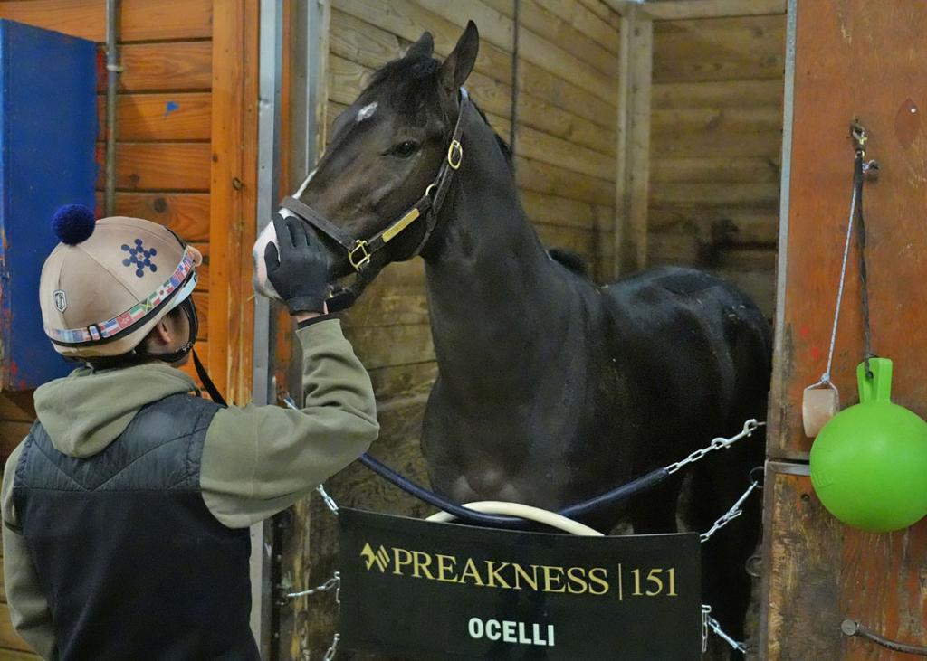 Kentucky Derby third-place finisher Ocelli (Jim McCue/Maryland Jockey Club)