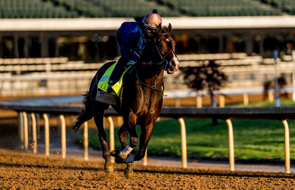 Kentucky Derby third-place finisher Ocelli (Eclipse Sportswire)