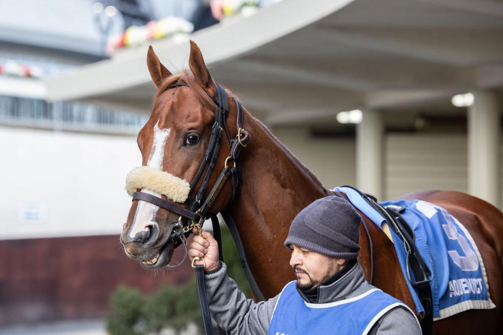 Poster for the winner of the Graded Stakes, and the second-place horse in the Harlan's Holiday Stakes held at Gulfstream Park on December 20th. (Collanese photo/Walter Wlodarczyk)
