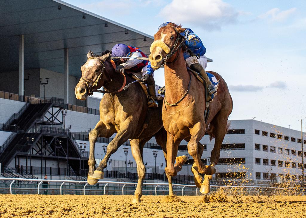 Poster for the prize-winning stakes winner, the runner-up in the Harlan's Holiday Stakes held at Gulfstream Park on December 20th. (Eclipse Sports Wire)