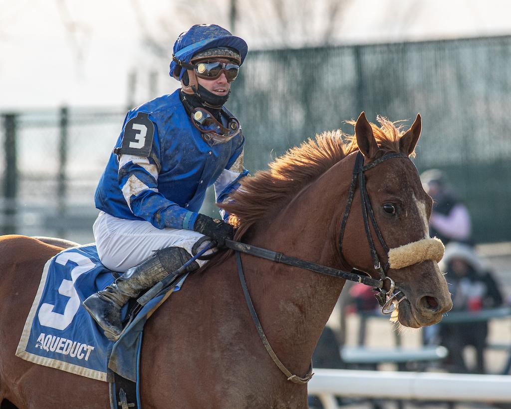 Poster for the prize-winning stakes winner, runner-up in the Harlan's Holiday Stakes to be held at Gulfstream Park on December 20th. (Eclipse Sports Wire)