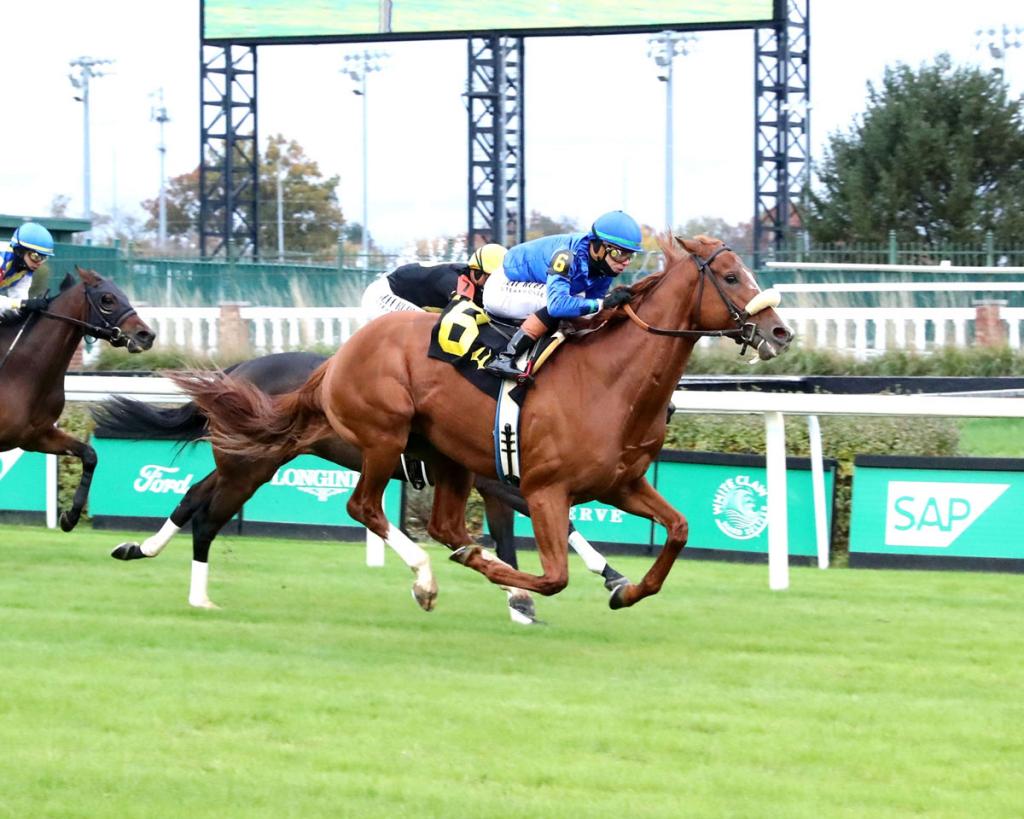 Poster for the prize-winning stakes winner, the runner-up in the Harlan's Holiday Stakes held at Gulfstream Park on December 20th. (Cody Media)