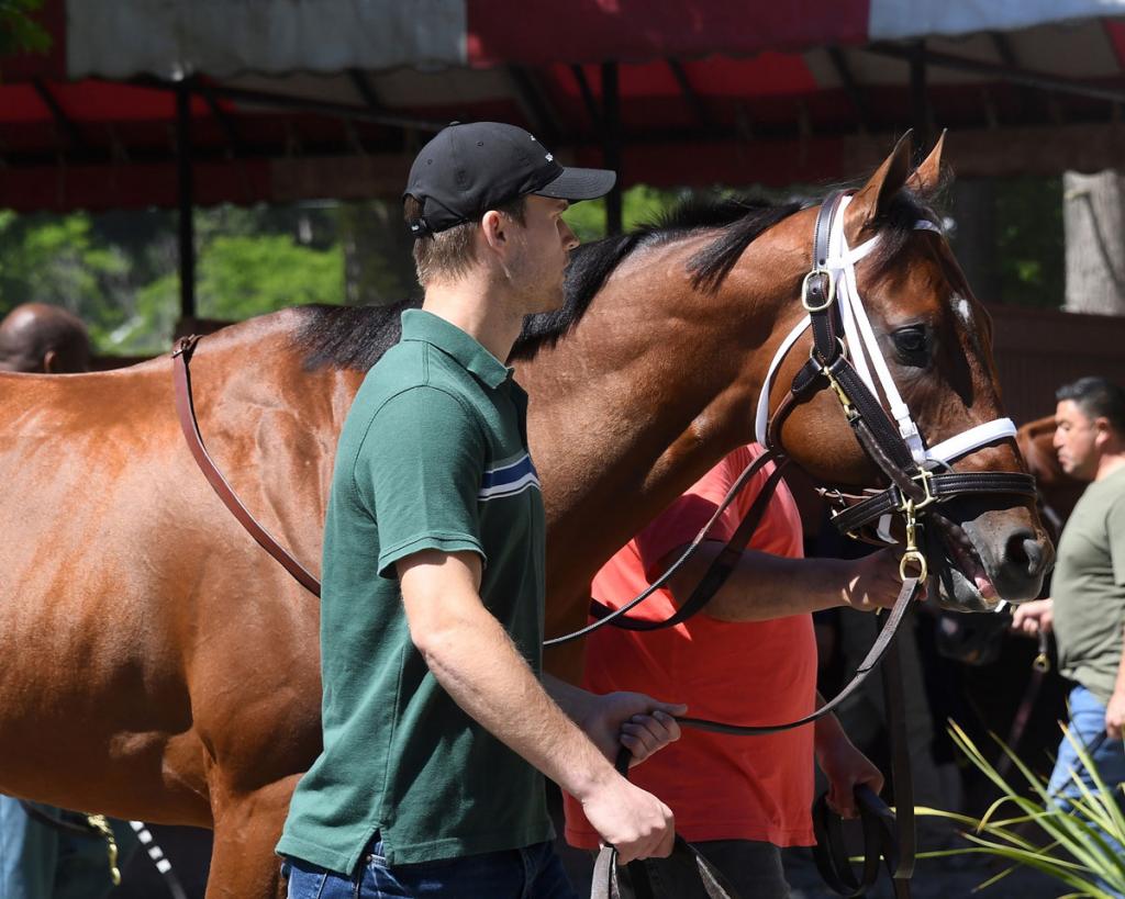 Arkansas Derby and Jim Dandy Stakes winner Renegade (Coglianese Photos/Susie Raisher)