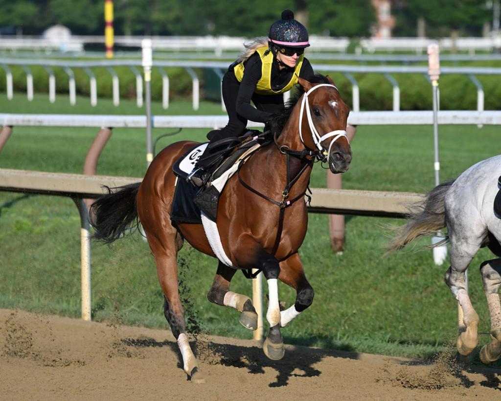 Arkansas Derby and Jim Dandy Stakes winner Renegade (Coglianese Photos/Hannah Bonczkowski)