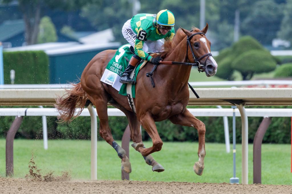 Curlin Stakes winner Sea Strike (Eclipse Sportswire)