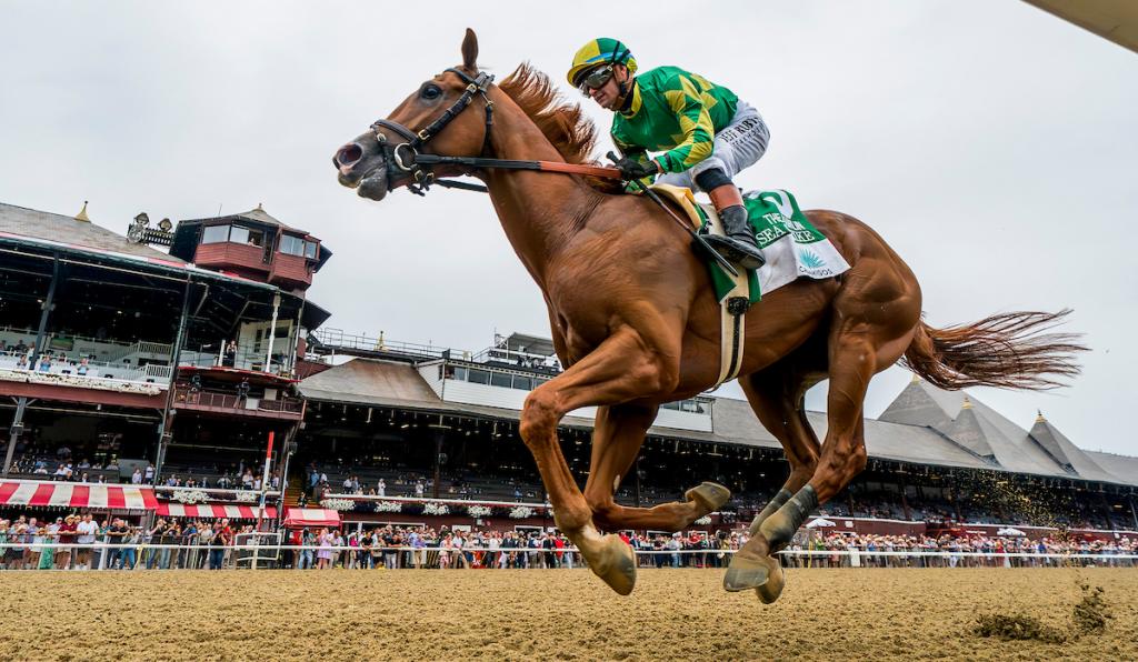 Curlin Stakes winner Sea Strike (Eclipse Sportswire)