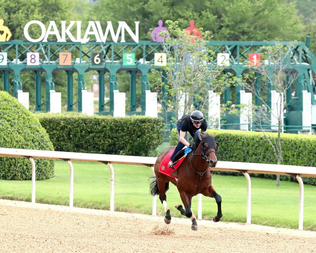 Southwest Stakes winner Silent Tactic (Coady Media)