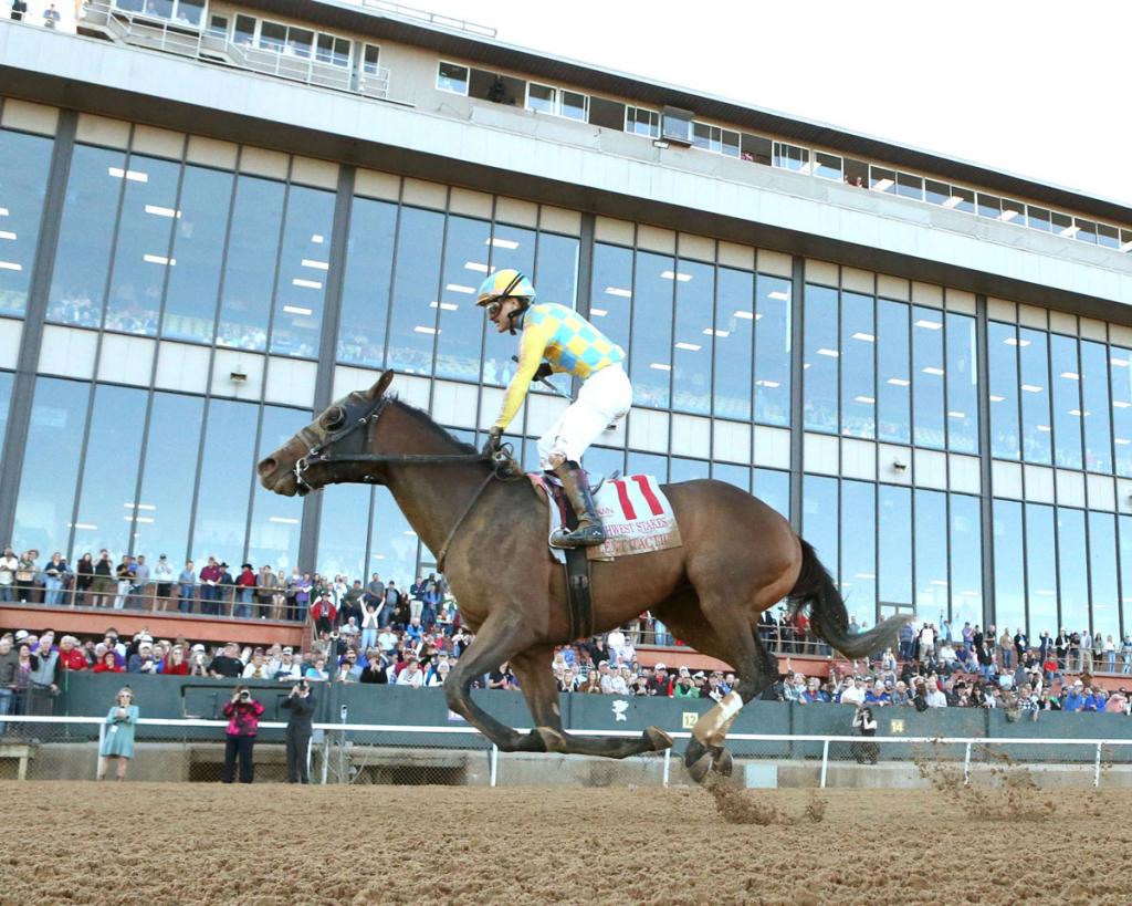 Southwest Stakes winner Silent Tactic (Coady Media)