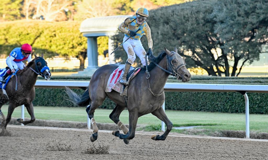 Southwest Stakes winner Silent Tactic (Eclipse Sportswire)