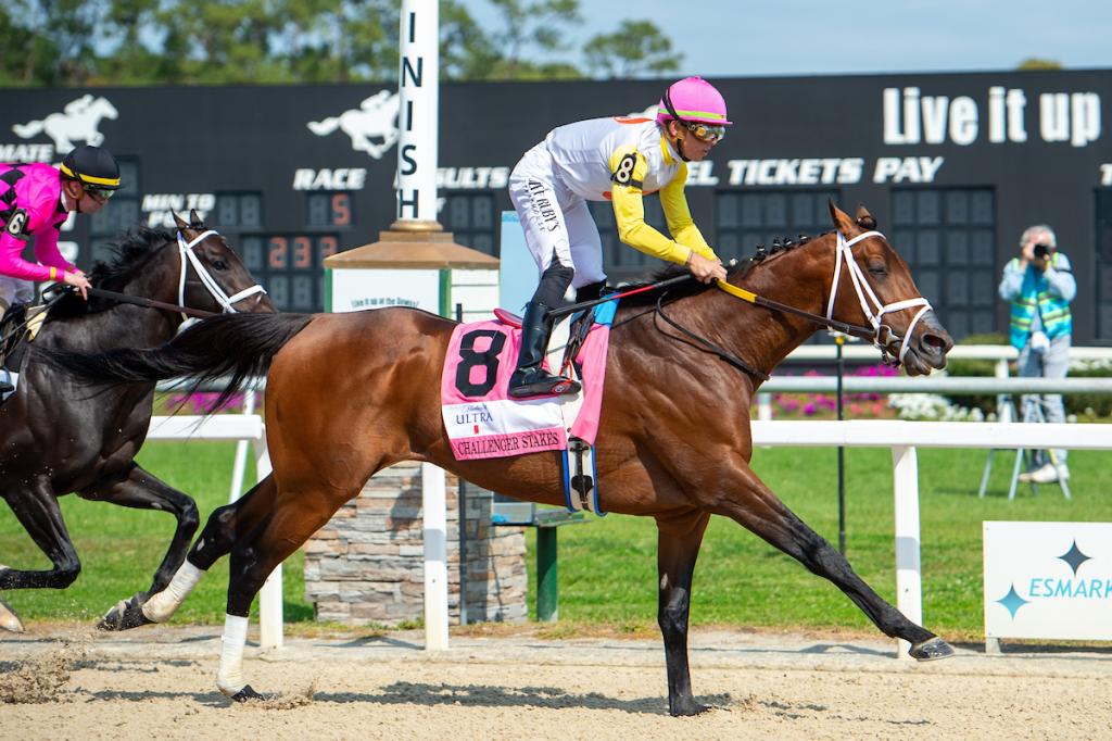 Skippy Longstocking, a 10-time graded stakes winner, was the winner of the Harlan's Holiday Stakes at Gulfstream Park on Dec. 20. (Eclipse Sports Wire)