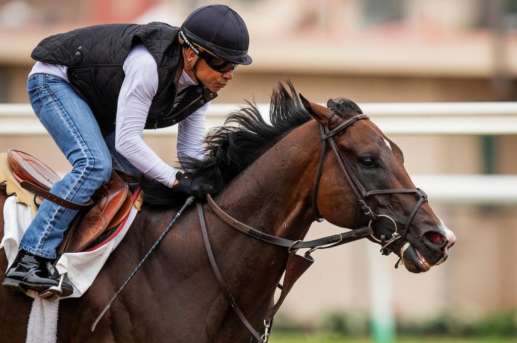 Smith in 2019 exercising Omaha Beach, the sire of Nevada Beach. (Eclipse Sportswire)