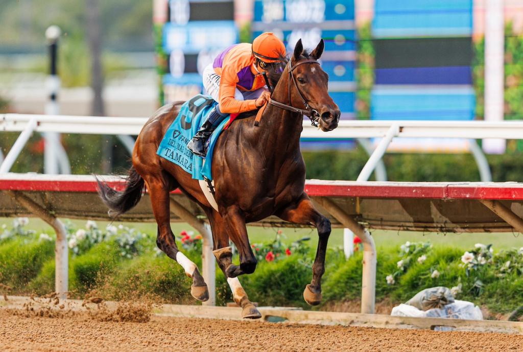 Hall of Fame jockey Mike Smith wins the 2023 Del Mar Debutante aboard Tamara. (Eclipse Sportswire)