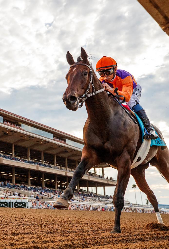 Smith wins the 2023 Del Mar Debutante aboard Tamara. (Eclipse Sportswire)