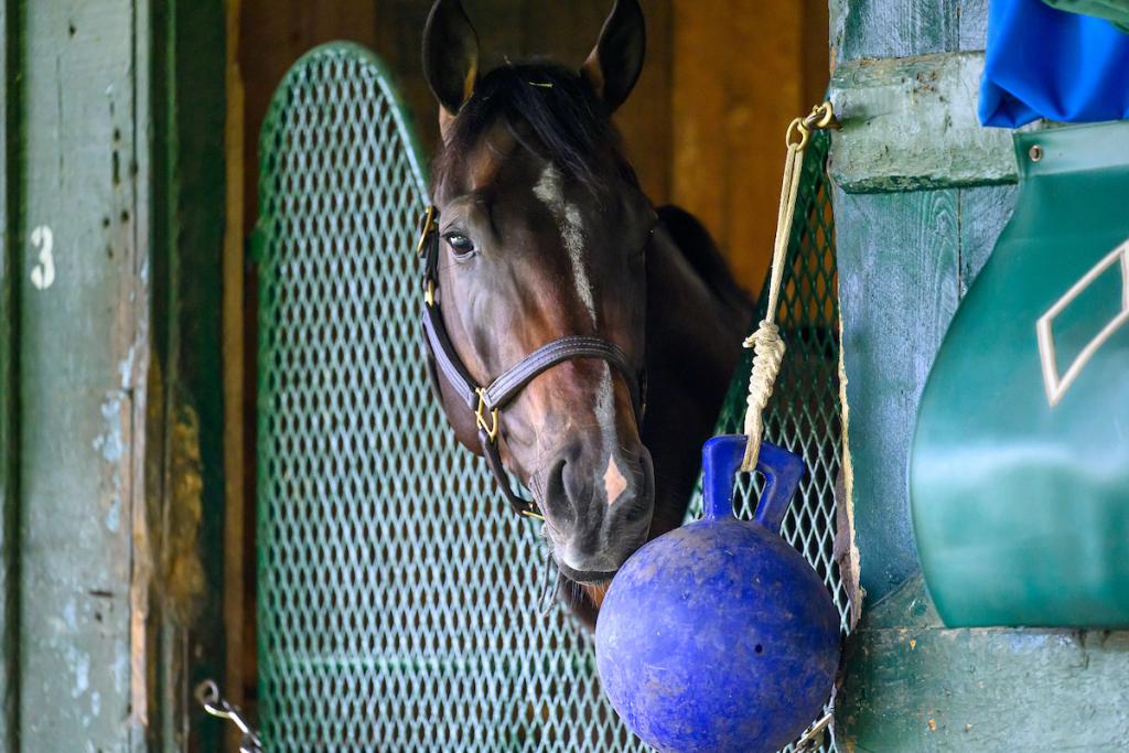 Kentucky Derby and Belmont Stakes winner Sovereignty. (Eclipse Sportswire)