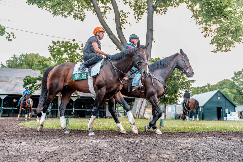 Kentucky Derby and Belmont Stakes winner Sovereignty. (Eclipse Sportswire)
