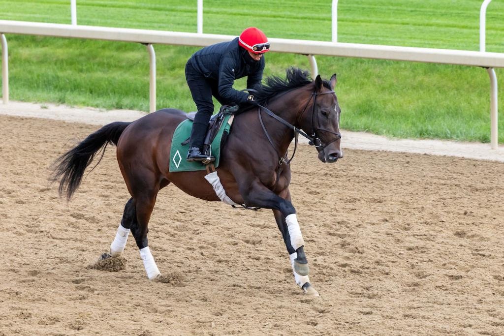 Kentucky Derby and Belmont Stakes winner Sovereignty. (Eclipse Sportswire)