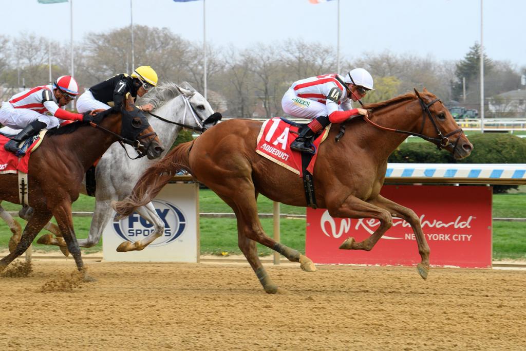 Curlin Stakes winner Strategic Focus. (Coglianese Photos)