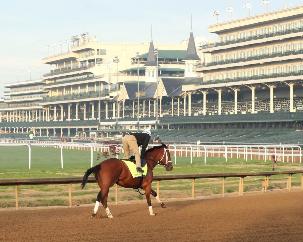 2025 Florida Derby Winner Tappan Street (Coady Media)