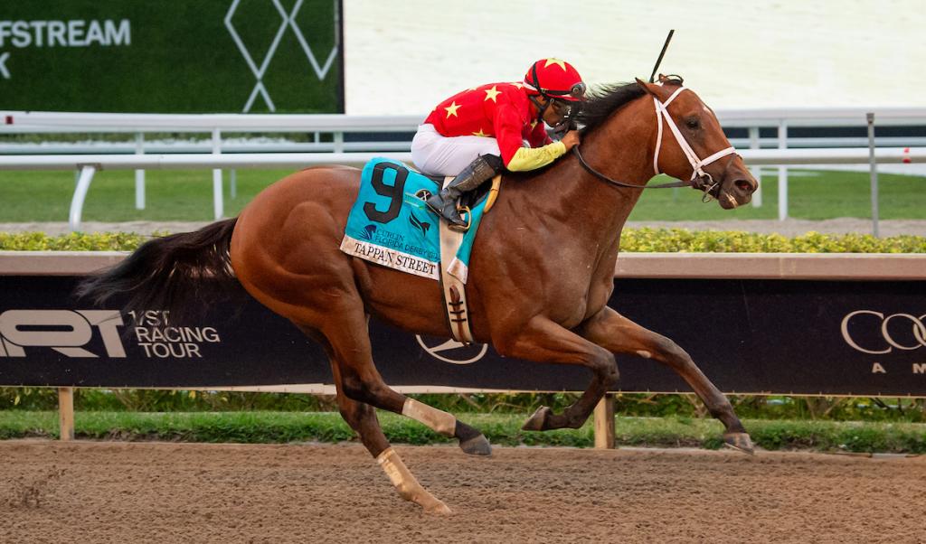2025 Florida Derby Winner Tappan Street (Eclipse Sportswire)