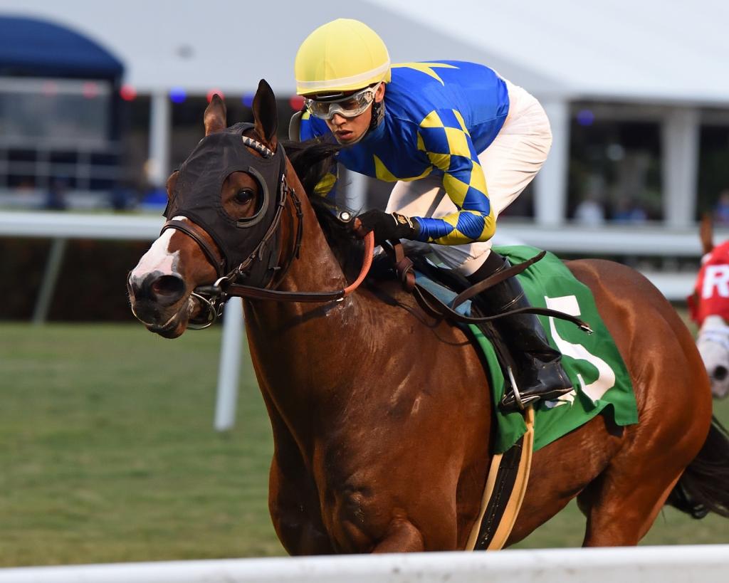 Multiple graded-stakes placed Tarantino, third in the San Diego Handicap (Ryan Thompson/Coglianese photos)