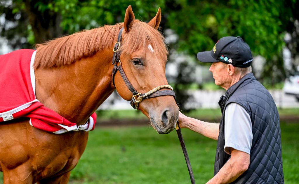 Tampa Bay Derby winner The Puma (Eclipse Sportswire)