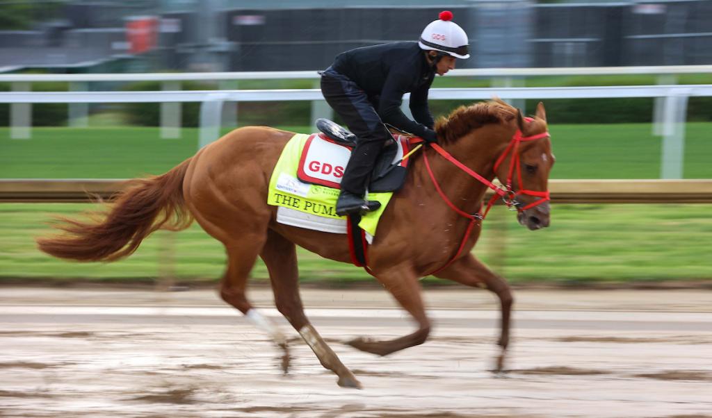 Tampa Bay Derby winner The Puma (Eclipse Sportswire)