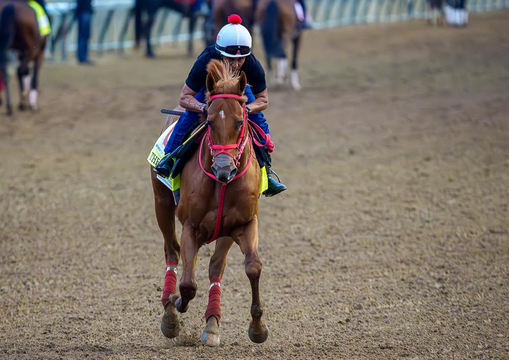 Tampa Bay Derby winner The Puma (Eclipse Sportswire)
