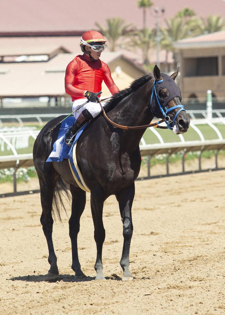 Recent allowance winner Ultimate Gamble