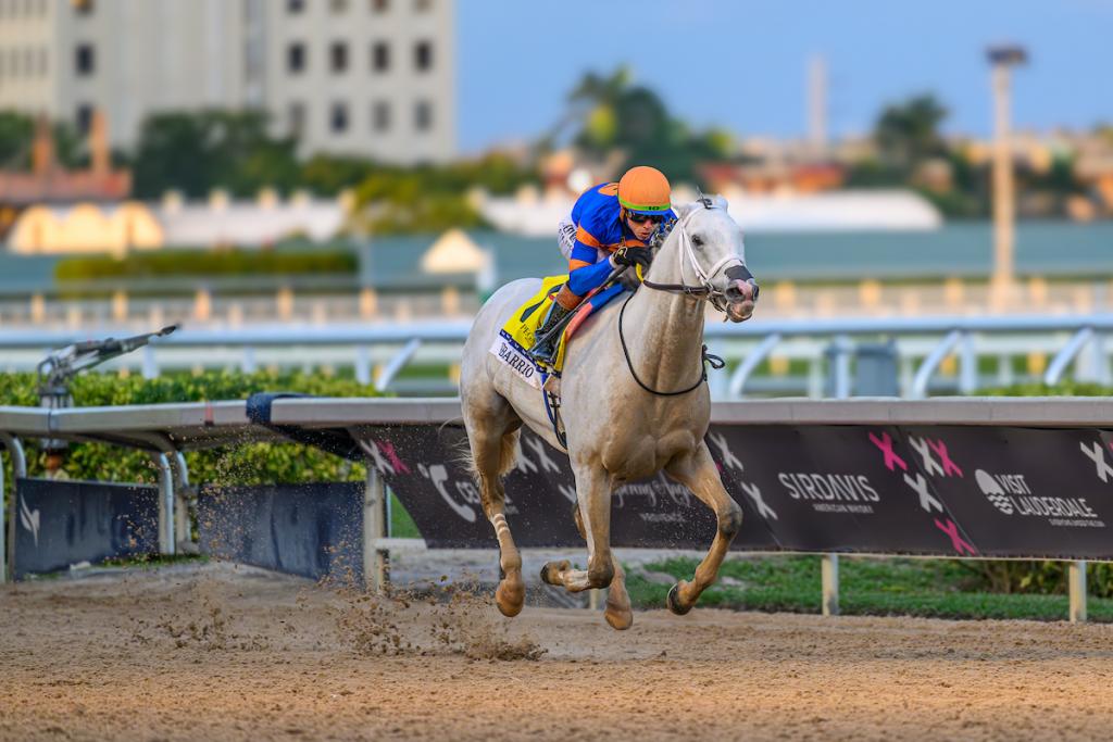 2025 Pegasus World Cup Winner, White Avario, 2023 Breeders' Cup Classic Winner. (Eclipse Sports Wire)