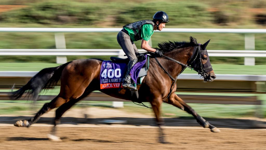 Alice Verite, a stakes winner in Japan and fourth in the 2024 Distaff