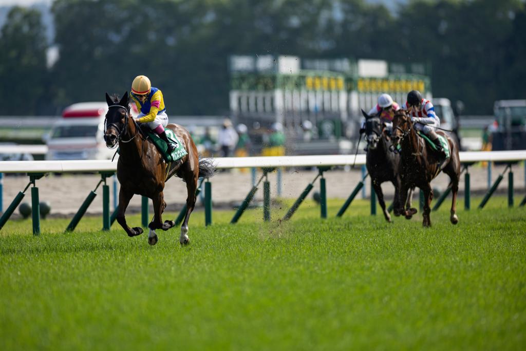 Alice Verite, a stakes winner in Japan and fourth in the 2024 Distaff