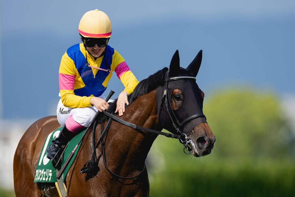 Alice Verite, a stakes winner in Japan and fourth in the 2024 Distaff