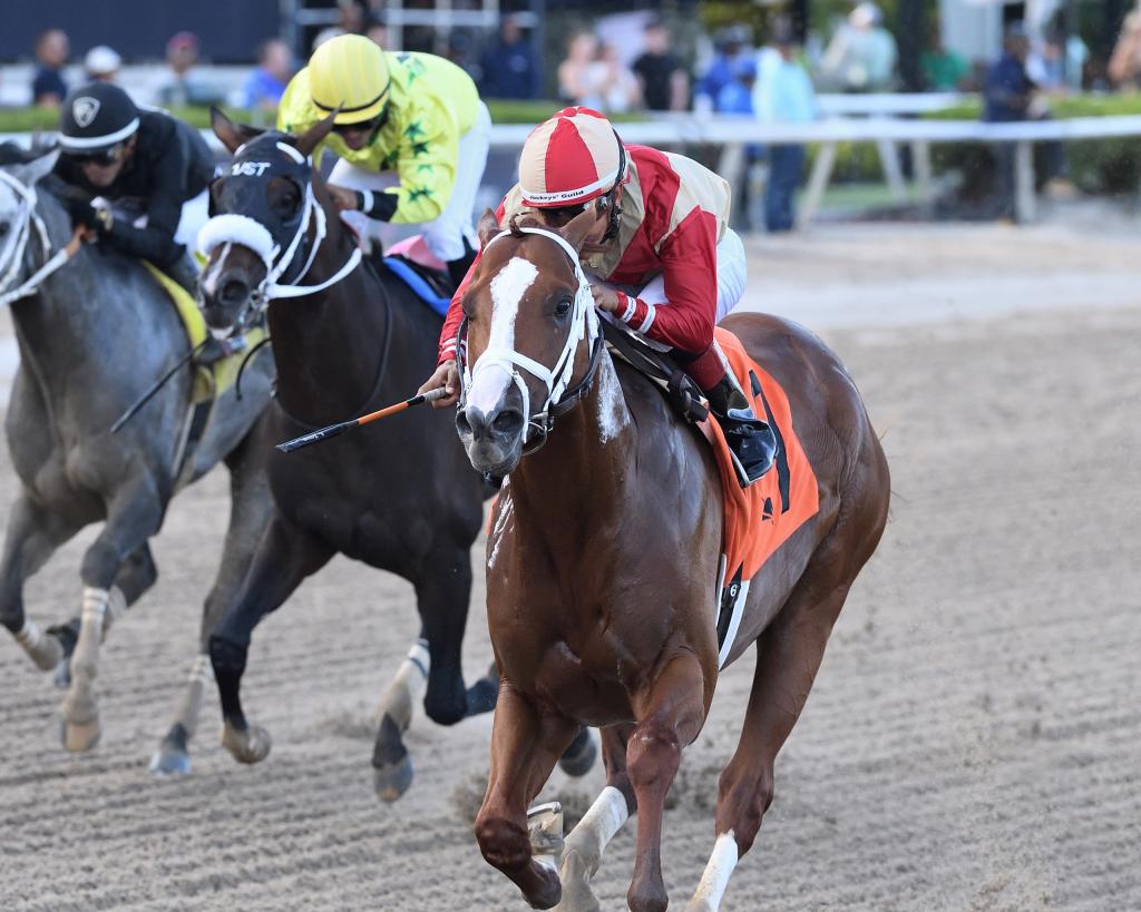 Jockey Club Gold Cup Stakes winner Antiquarian (Ryan Thompson/Coglianese Photo)