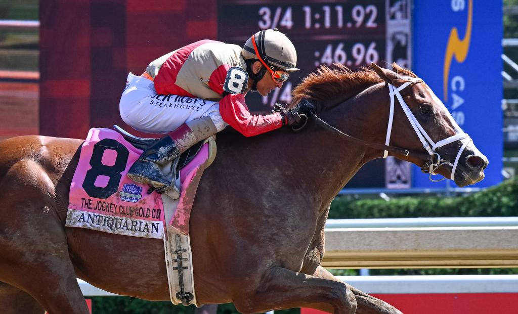 Jockey Club Gold Cup Stakes winner Antiquarian (Eclipse Sportswire)