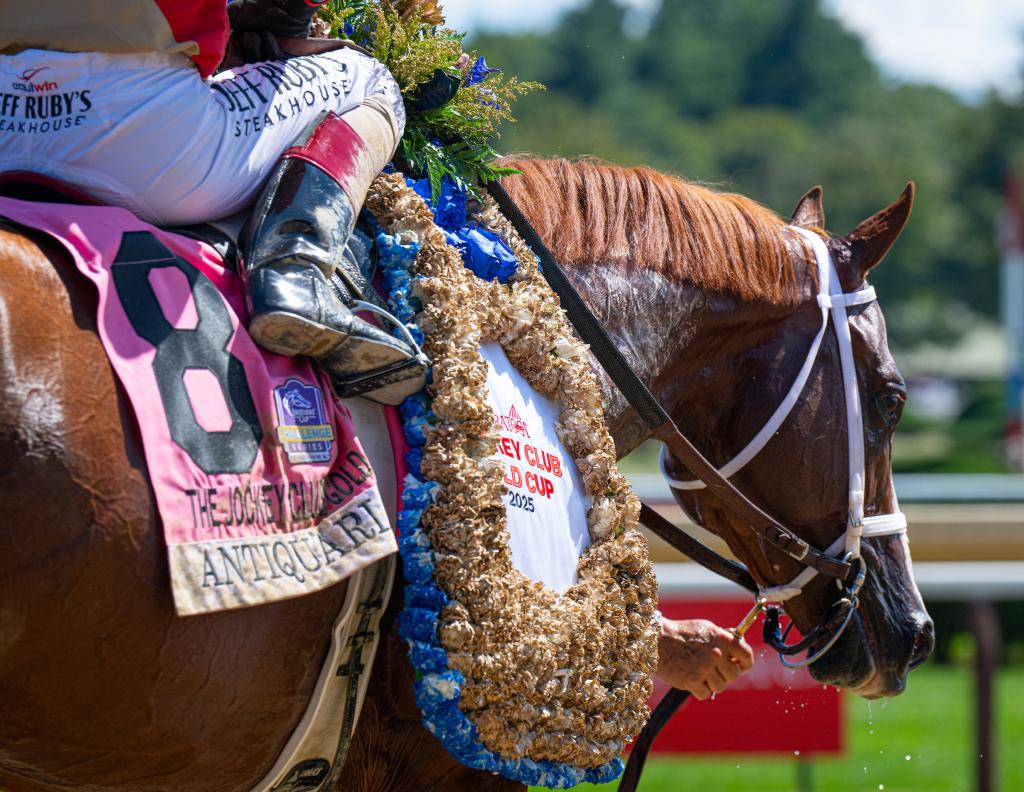 Jockey Club Gold Cup Stakes winner Antiquarian (Eclipse Sportswire)