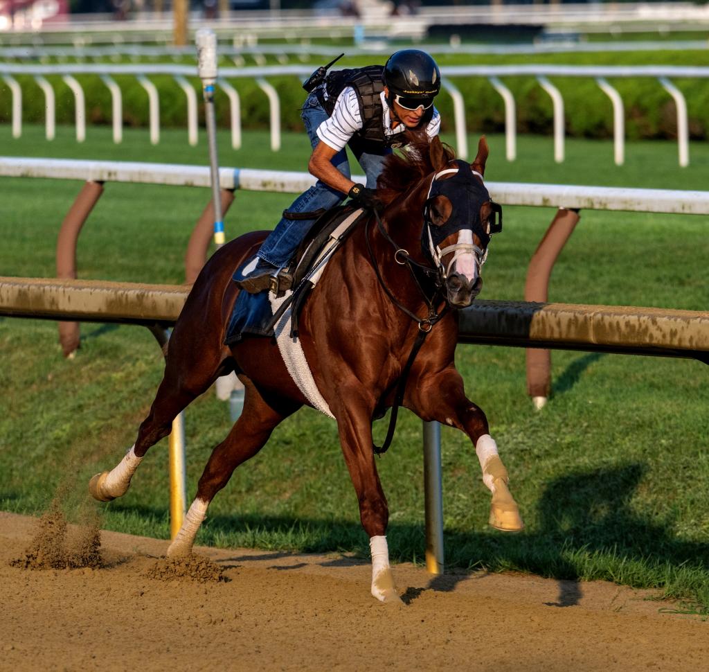 Jockey Club Gold Cup Stakes winner Antiquarian (Skip Dickstein/BloodHorse)