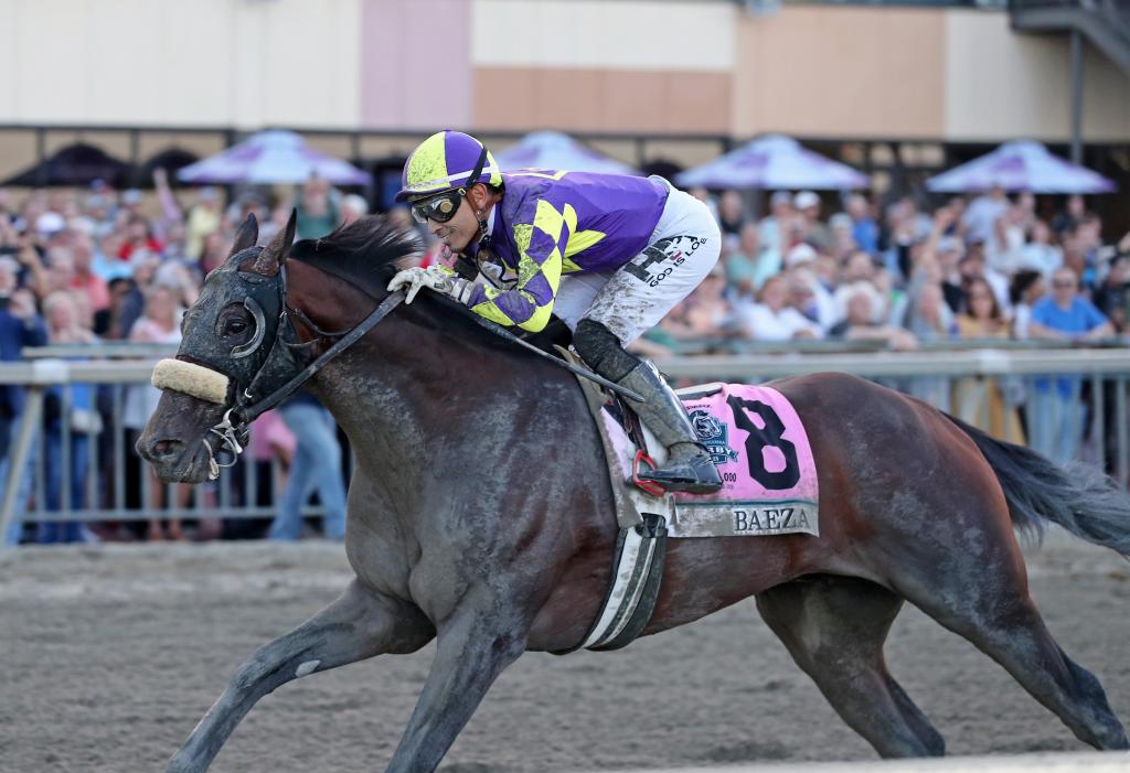 Pennsylvania Derby winner Baeza (Ryan Denver/EQUI-PHOTO)