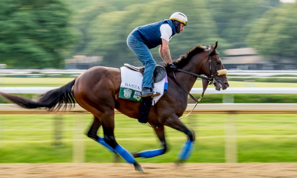 Pennsylvania Derby winner Baeza (Eclipse Sportswire)