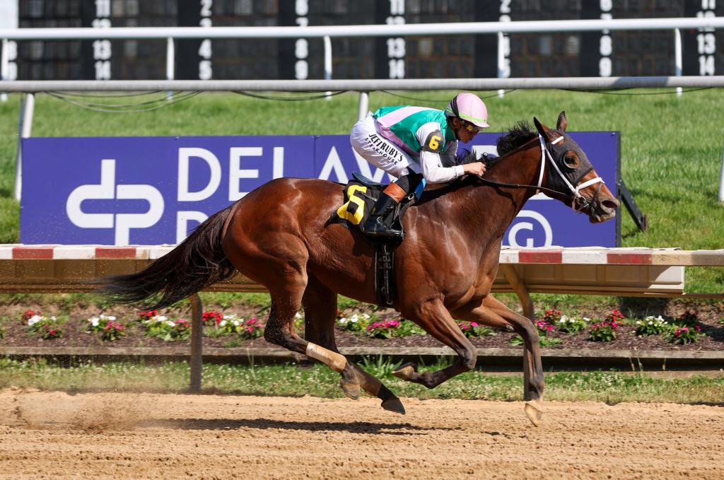 SLIDESHOW: Meet the Fillies and Mares in the 2026 Breeders’ Cup Distaff ...