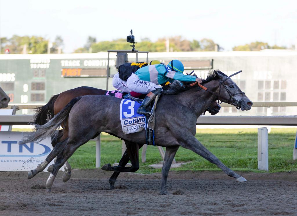 Cotillion Stakes winner Clicquot (Eclipse Sportswire)