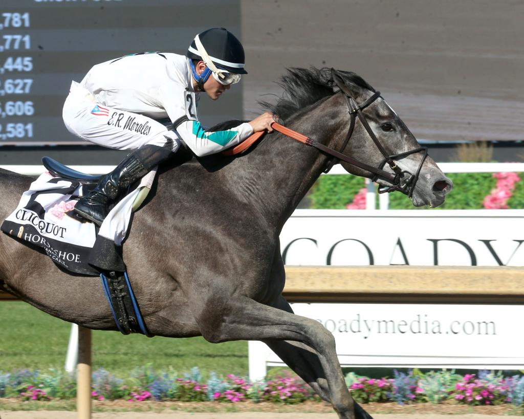 Cotillion Stakes winner Clicquot (Coady Media)