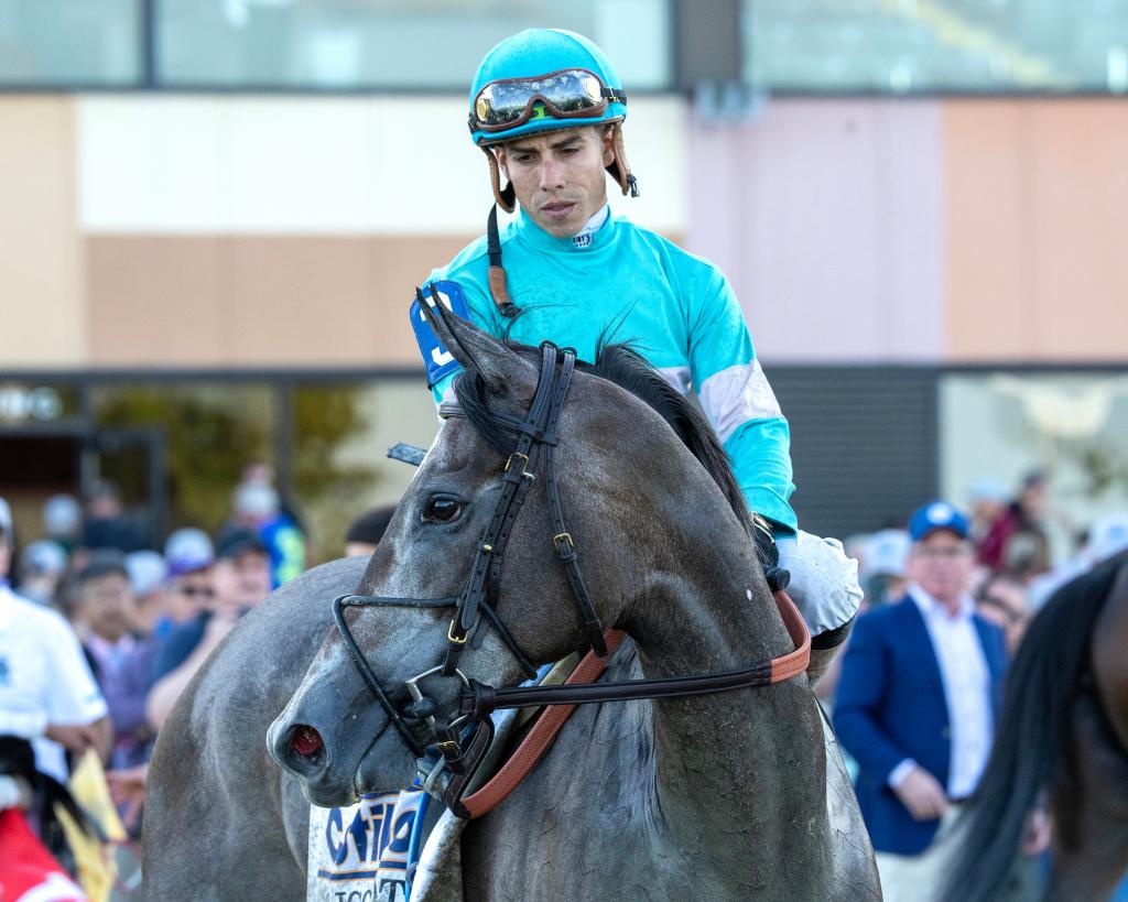 Cotillion Stakes winner Clicquot (Joe Labozzetta/EQUI-PHOTO)