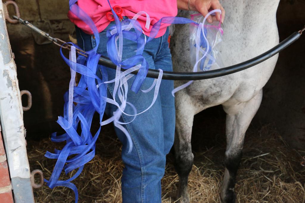 Decorating Derby Ponies a Labor of Love for Torrie Ann Needham ...