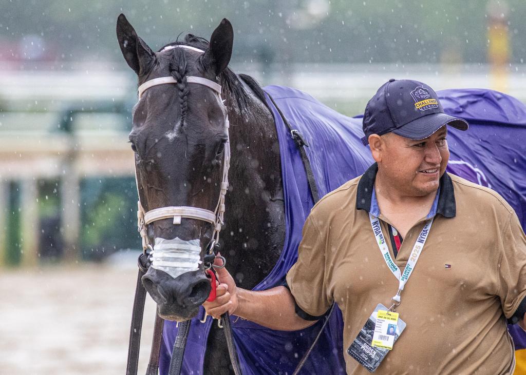 Ogden Phipps Stakes winner Dorth Vader (Eclipse Sportswire)