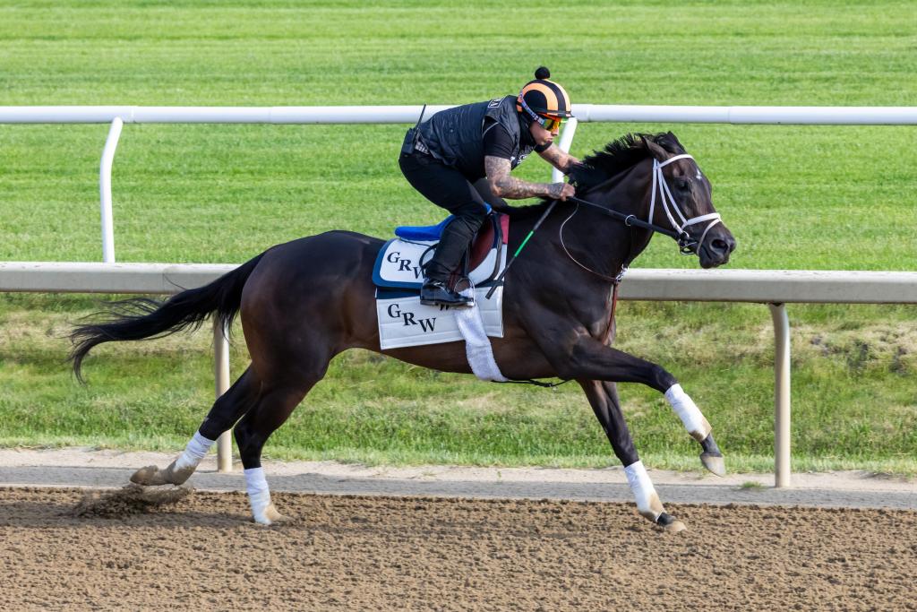 Ogden Phipps Stakes winner Dorth Vader (Eclipse Sportswire)